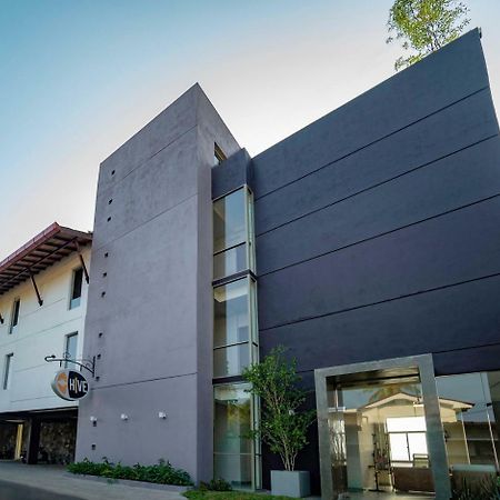 Hive 68 - Hotel And Resorts Negombo Ngoại thất bức ảnh